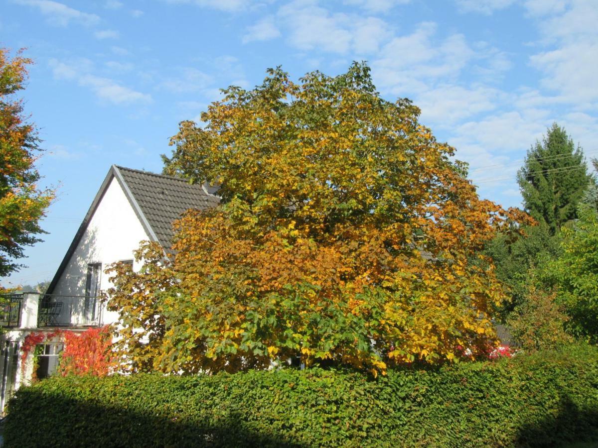 Eifel Gaestewohnung 布兰肯海姆 外观 照片